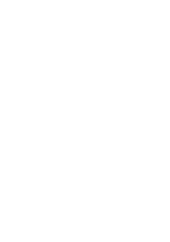 Escudo IB